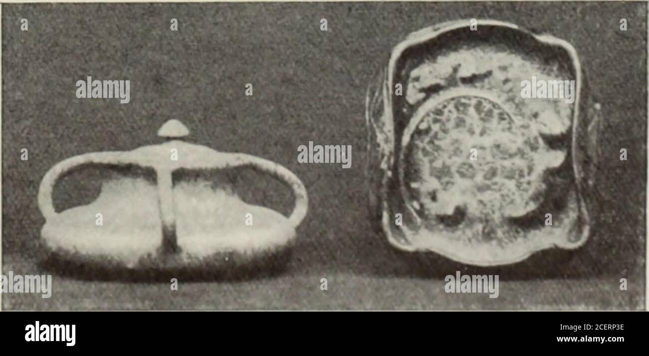 . International Studio ein Illustriertes Magazin der Schönen und angewandten Kunst. POTTERV UY A. BIGOT71 Stockfoto