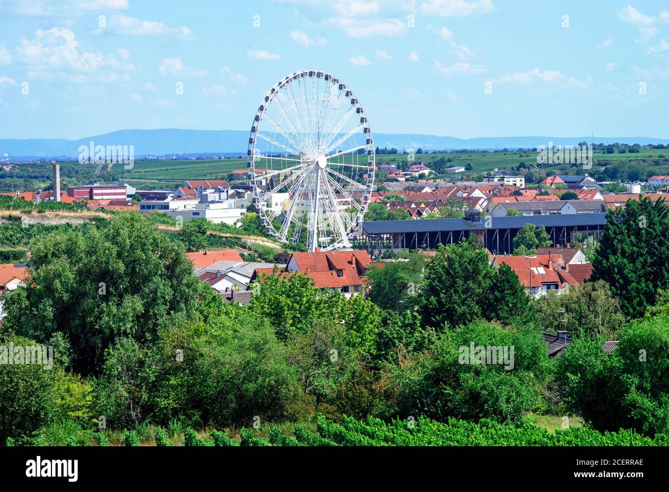 Rheinpfalz Bad Drkheim