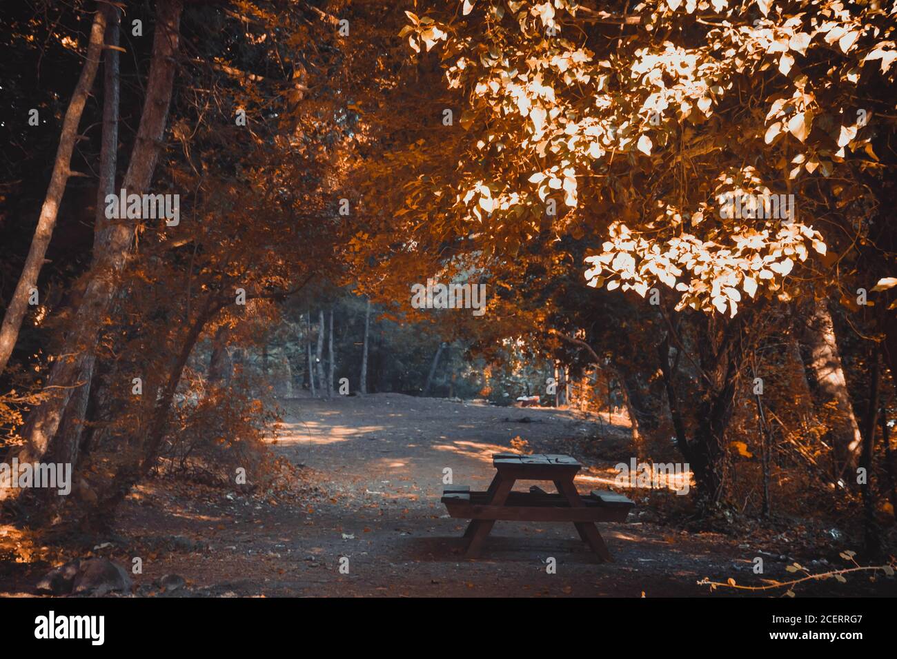 Leerer Campingtisch als der Herbst kommt. Stockfoto