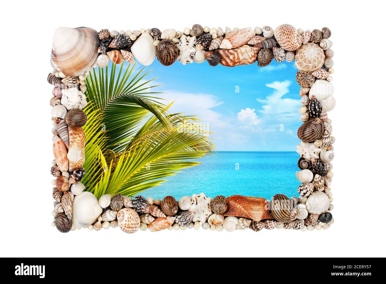 Muschelschalen Bilderrahmen weiß Hintergrund isoliert Nahaufnahme, Muscheln Bildergrenze, Sommer Strandurlaub, exotische tropische Insel Urlaub, grüne Palme Stockfoto