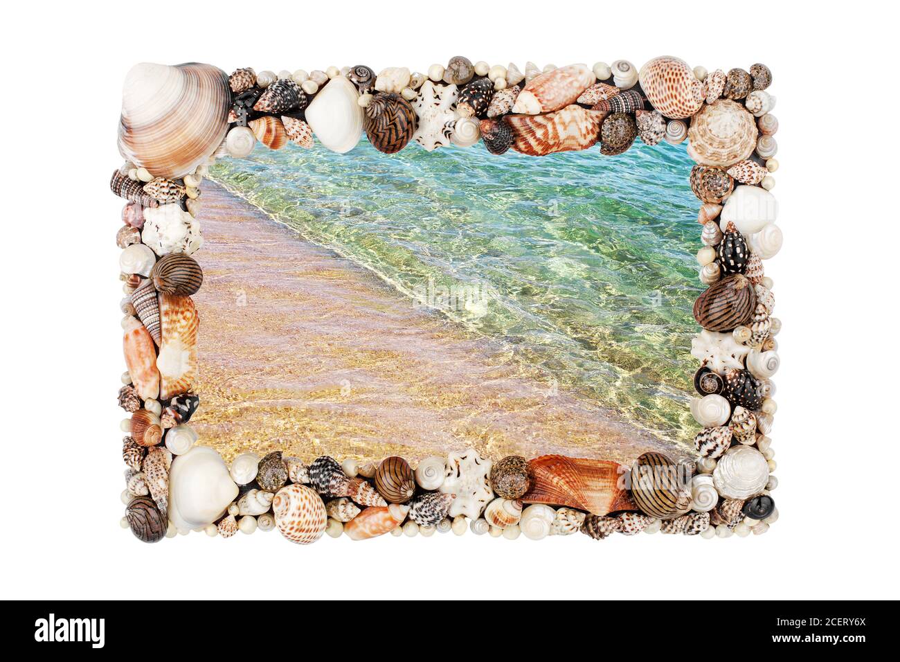 Meeresmuscheln Rahmen weißen Hintergrund isoliert Nahaufnahme Muscheln Grenze, blaue Welle Textur, Sandstrand, türkisfarbenes Meerwasser, Sommerferien Postkarte Stockfoto