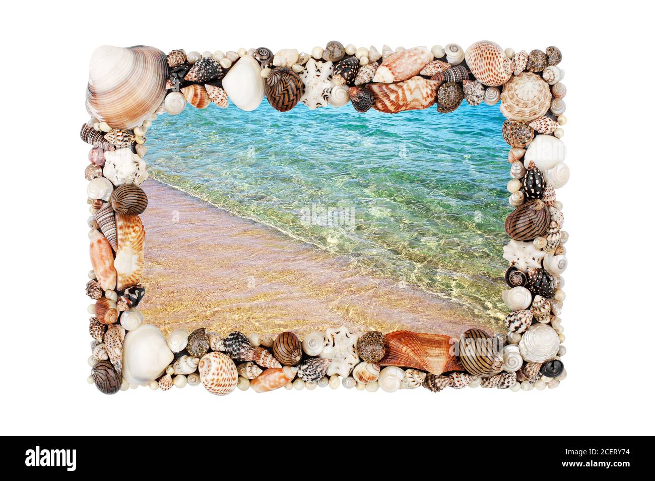 Meeresmuscheln Rahmen weißen Hintergrund isoliert Nahaufnahme Muscheln Grenze, blaue Welle Textur, Sandstrand, türkisfarbenes Meerwasser, Sommerferien Postkarte Stockfoto