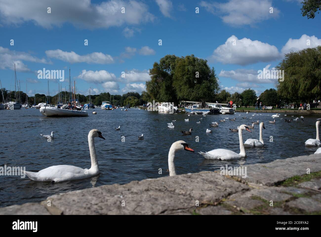 Fluss avon sommer Fotos und Bildmaterial in hoher Auflösung Alamy