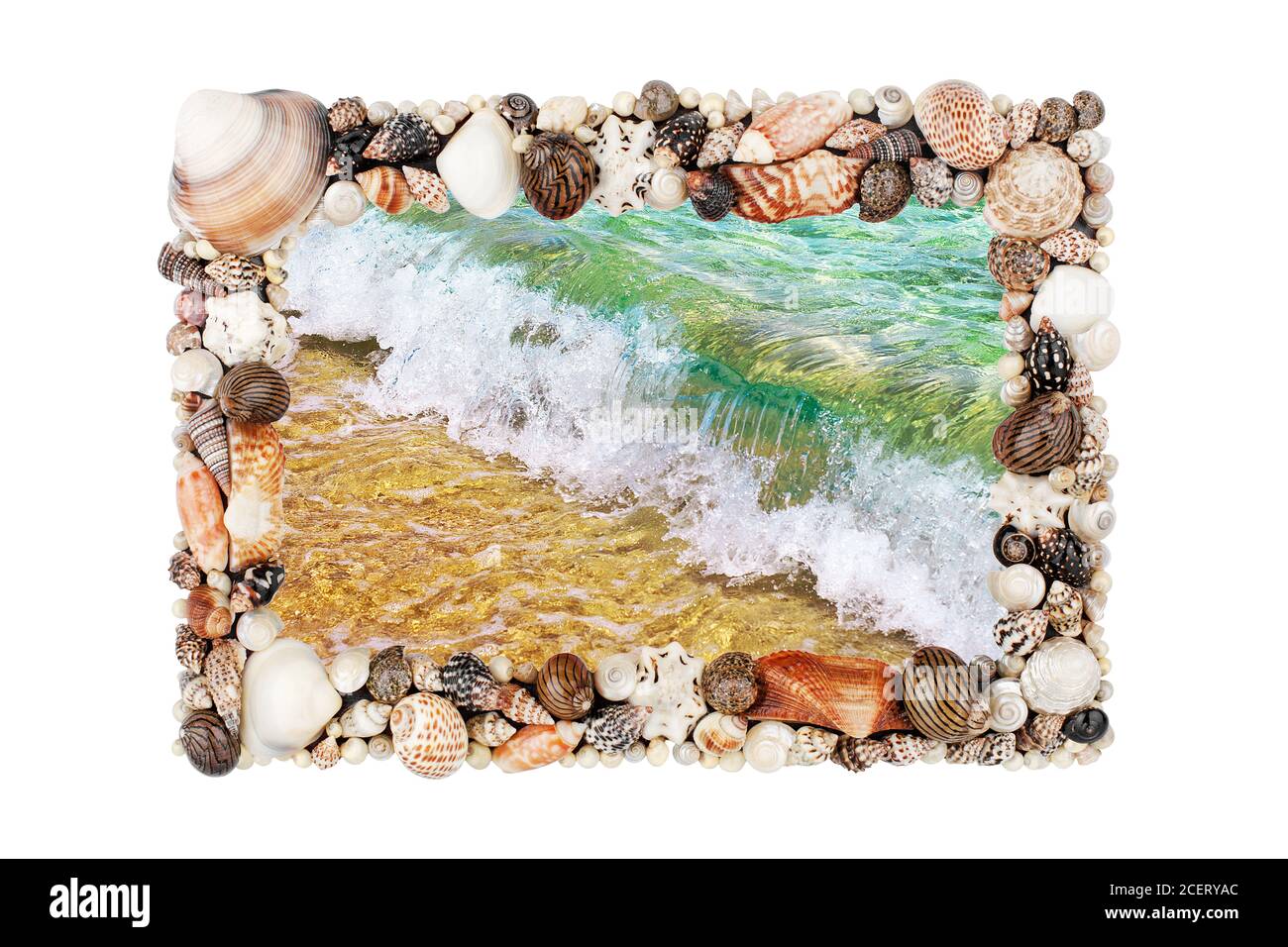 Meeresmuscheln Rahmen weißen Hintergrund isoliert Nahaufnahme Muscheln Grenze, blaue Welle Textur, Sandstrand, türkisfarbenes Meerwasser, Sommerferien Postkarte Stockfoto