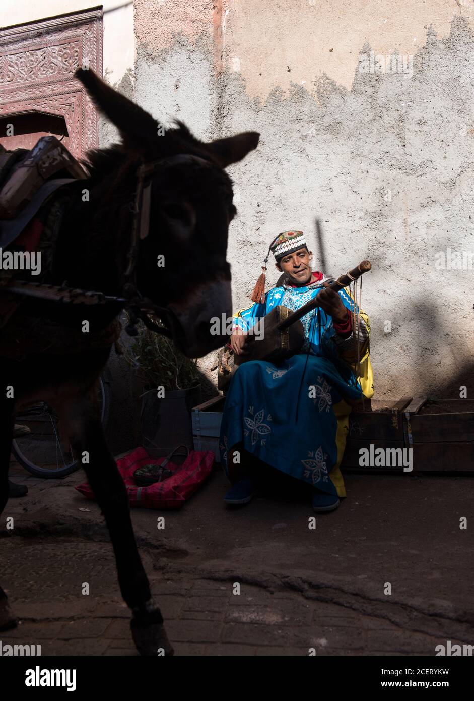 Esel passiert Musiker sitzen Sammelplatz spielen Gnawa Musik auf einem Gimbi (aka sintir) auf einer Straße innerhalb der Medina, Marrakesch. Stockfoto