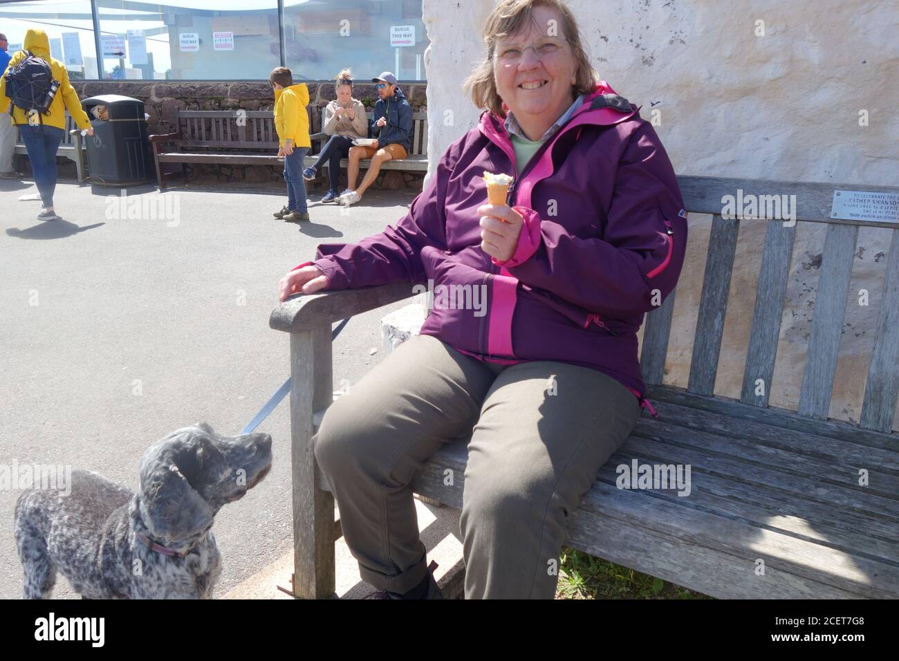 Frau mit Eis und Hund, der sie anschaut. Stockfoto
