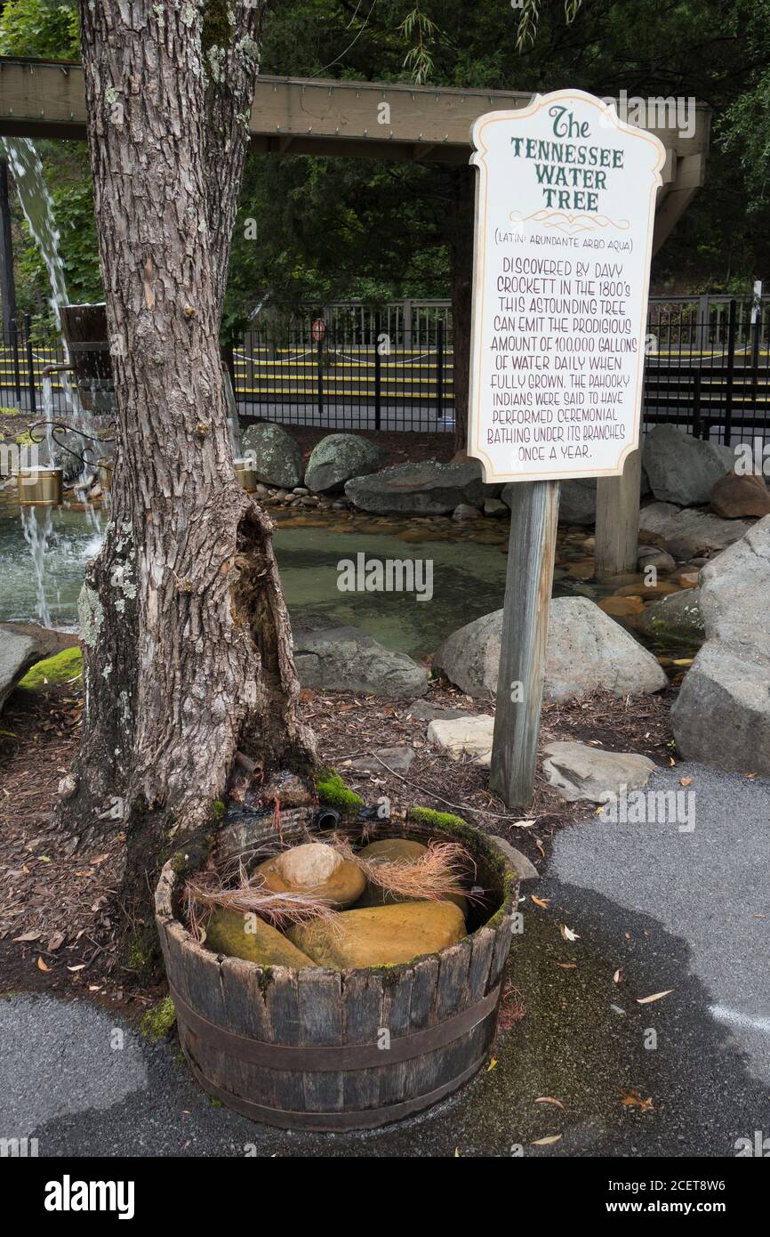 Der Tennessee Water Tree, bei Dollywood in Pigeon Forge, TN, USA. Stockfoto