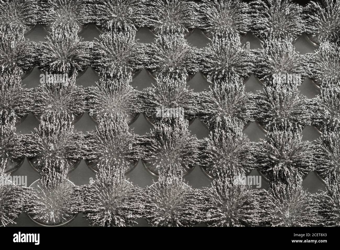 Unsichtbare magnetische Fluss sichtbar gemacht mit Eisen Späne schaffen interessant Ineinandergreifende Muster mit kreisförmigem Magneten Stockfoto Unsichtbare magnetische Fluss sichtbar gemacht mit Eisen Späne schaffen interessant Ineinandergreifende Muster mit kreisförmigem Magneten Stockfoto