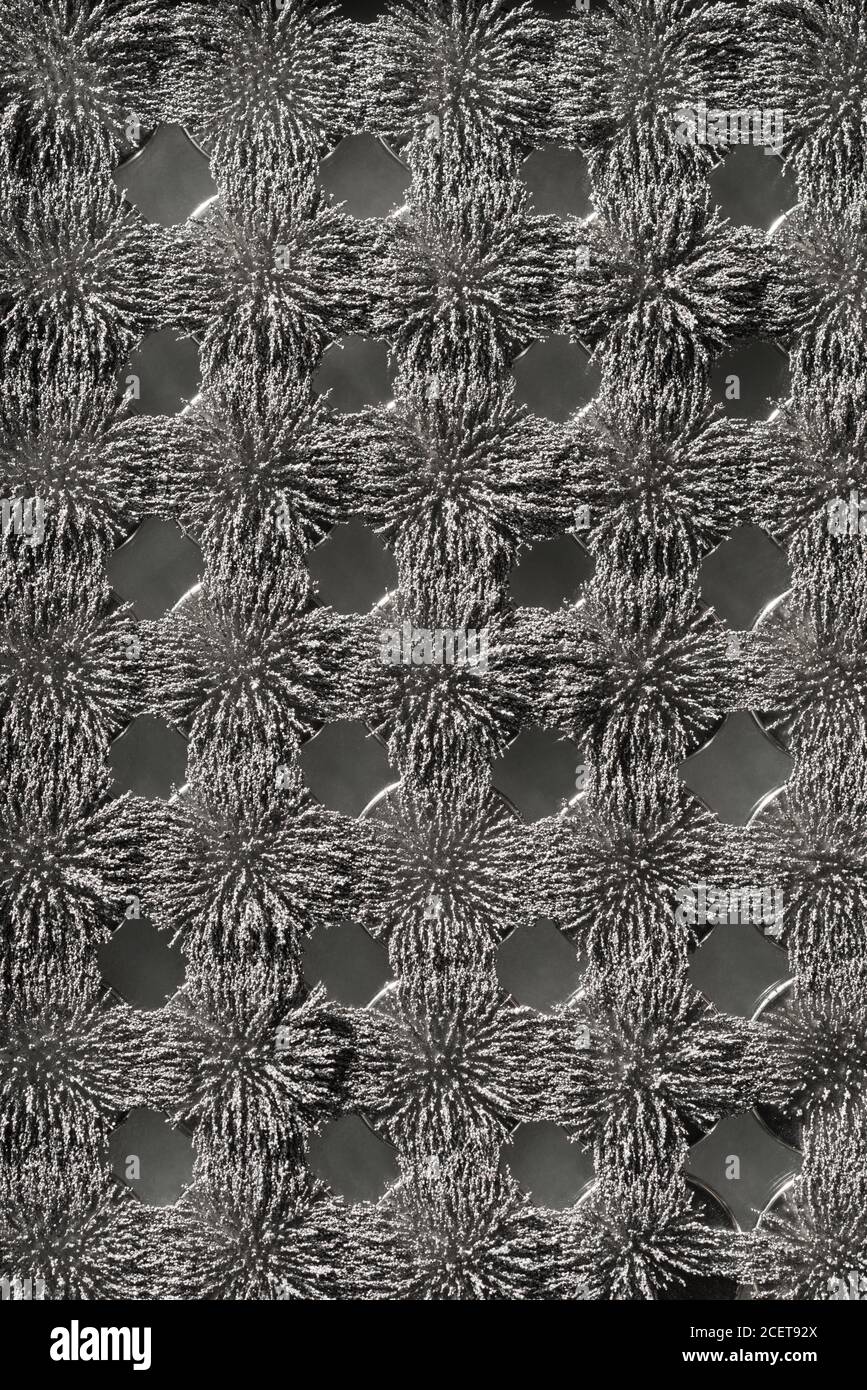 Unsichtbare magnetische Fluss sichtbar gemacht mit Eisen Späne schaffen interessant Ineinandergreifende Muster mit kreisförmigem Magneten Stockfoto Unsichtbare magnetische Fluss sichtbar gemacht mit Eisen Späne schaffen interessant Ineinandergreifende Muster mit kreisförmigem Magneten Stockfoto