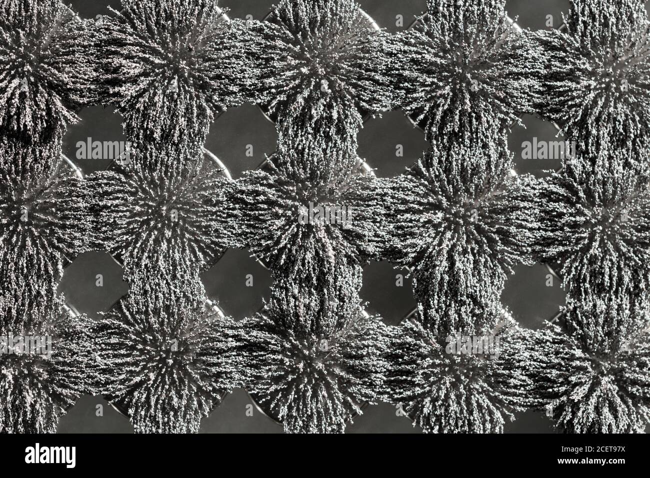 Unsichtbare magnetische Fluss sichtbar gemacht mit Eisen Späne schaffen interessant Ineinandergreifende Muster mit kreisförmigem Magneten Stockfoto Unsichtbare magnetische Fluss sichtbar gemacht mit Eisen Späne schaffen interessant Ineinandergreifende Muster mit kreisförmigem Magneten Stockfoto