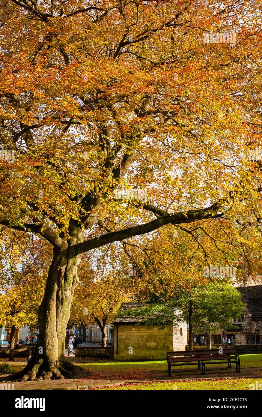 Herbstszene in einem kleinen öffentlichen Garten in Bradford On Avon Wiltshire England Großbritannien Stockfoto