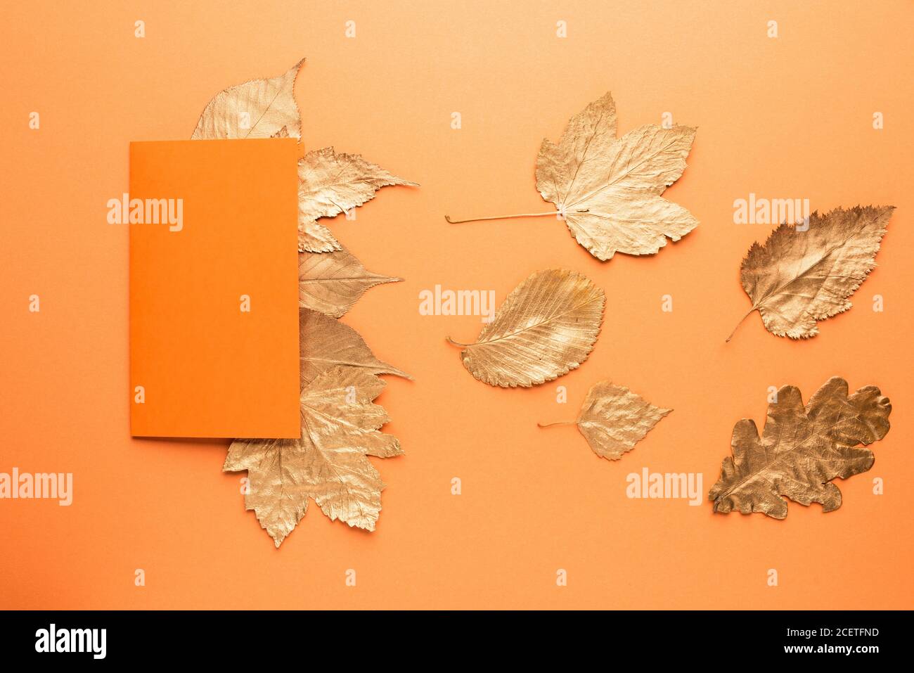 Leere Karte mit goldenen Blättern auf Orange. Herbstkonzept. Stockfoto