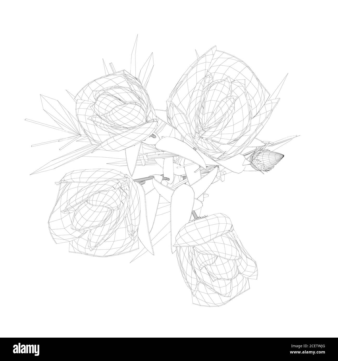 Drahtgestell mit Rosen aus schwarzen Linien auf weißem Hintergrund. Blick von oben. 3D. Vektorgrafik Stock Vektor