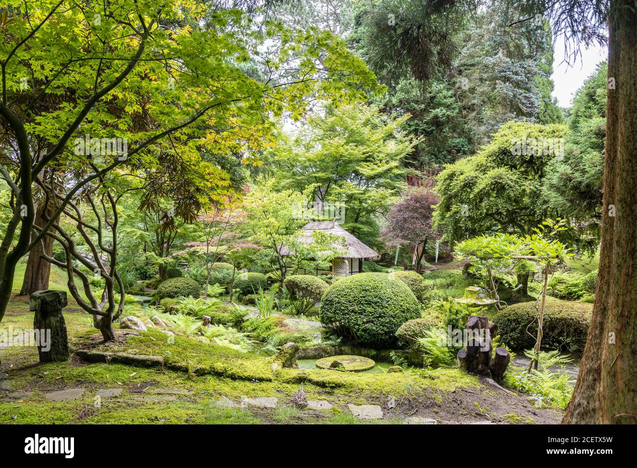 Malerische Ecke des Japanischen Gartens mit Teehaus in Tatton Park, Großbritannien. Stockfoto