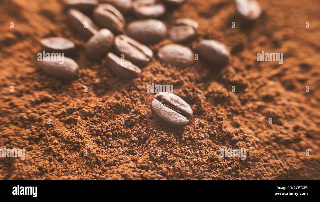 Natürliche geröstete aromatische schöne Kaffeebohnen liegen auf dem gemahlenen Kaffee. Stockfoto
