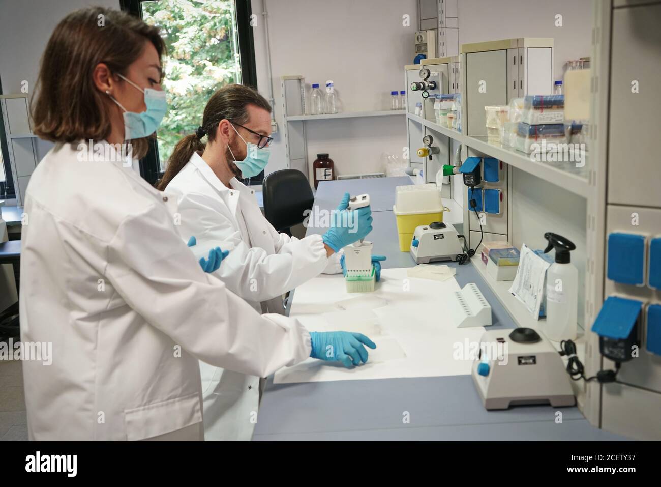Bei der Arbeit im molekularbiologischen Labor zur Abstrichanalyse für den SARS-COV2-Virusnachweis. Turin, Italien - September 2020 Stockfoto
