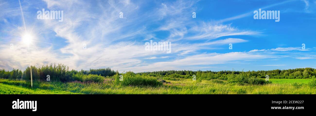 Helle grüne Landschaft mit Wiese, Wald und dramatischem Himmel an sonnigen Tagen. Ultra-Wide-hdr-Panoramaansicht Stockfoto