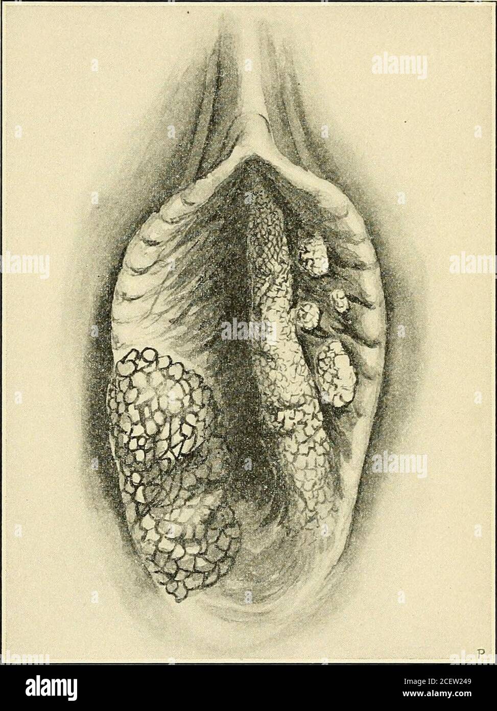 Yoshlar uchun eng issiq porno film
