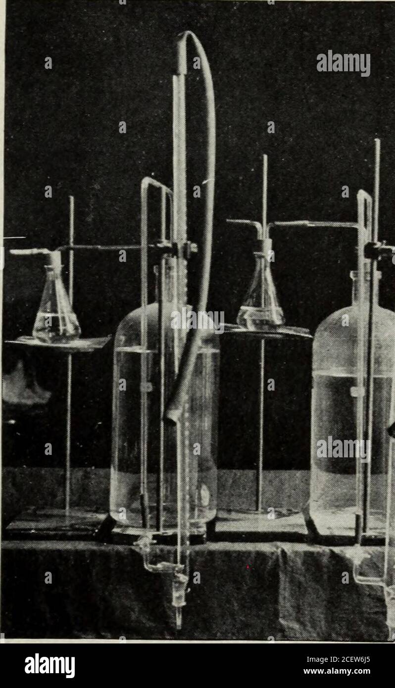 . Der Dental Kosmos. Illingoperation. Zu einem Glasrohr wird jener Teil des Ejektorschlauchs erreicht, der zum Mund führt; zum anderen ein kurzes Stück Schlauch, das mit der Ejektorpumpe selbst verbunden ist. Wenn eine Kammer filedeine andere kann er ersetzt, so dass eine sehr beträchtliche Menge an Speichel erhalten kann. HOWE. – GERÄTE UND VOLUMETRISCHE TESTS FOB SPEICHELANALYSE. 431 METHODE ZUR BESTIMMUNG DER SPECIFICGRAVITY DES SPEICHELS. Die nächste Abbildung (Abb. 2) repre-sents ein kleines Pyknometer markiert, um genau einen halben Zentimeter zu halten. Das kleine Ende des Röhrchens ist Kapillare, und es ist ein Stück befestigt Stockfoto