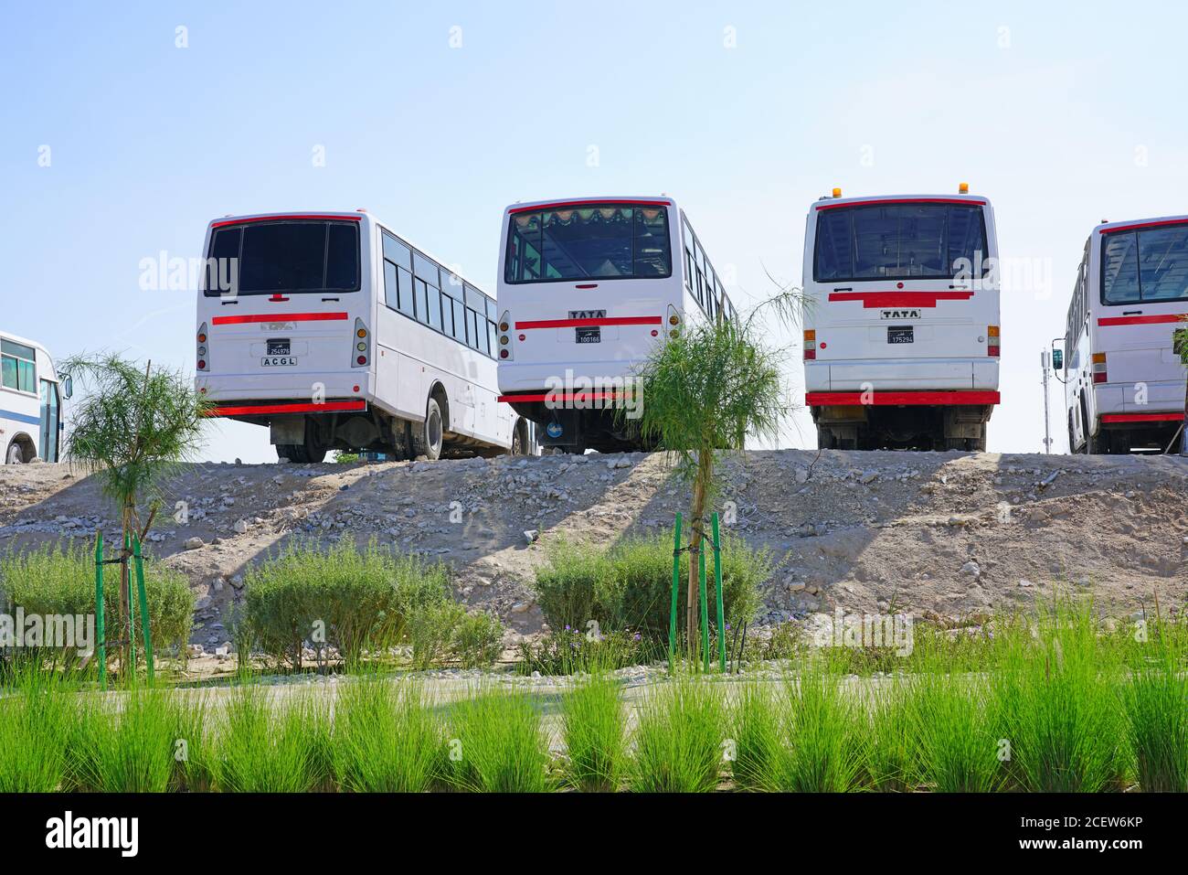 DOHA, KATAR -12 DEC 2019- Ansicht von Tata-Bussen, mit denen Gastarbeiter auf einer Baustelle in Doha, Katar, transportiert wurden. Stockfoto