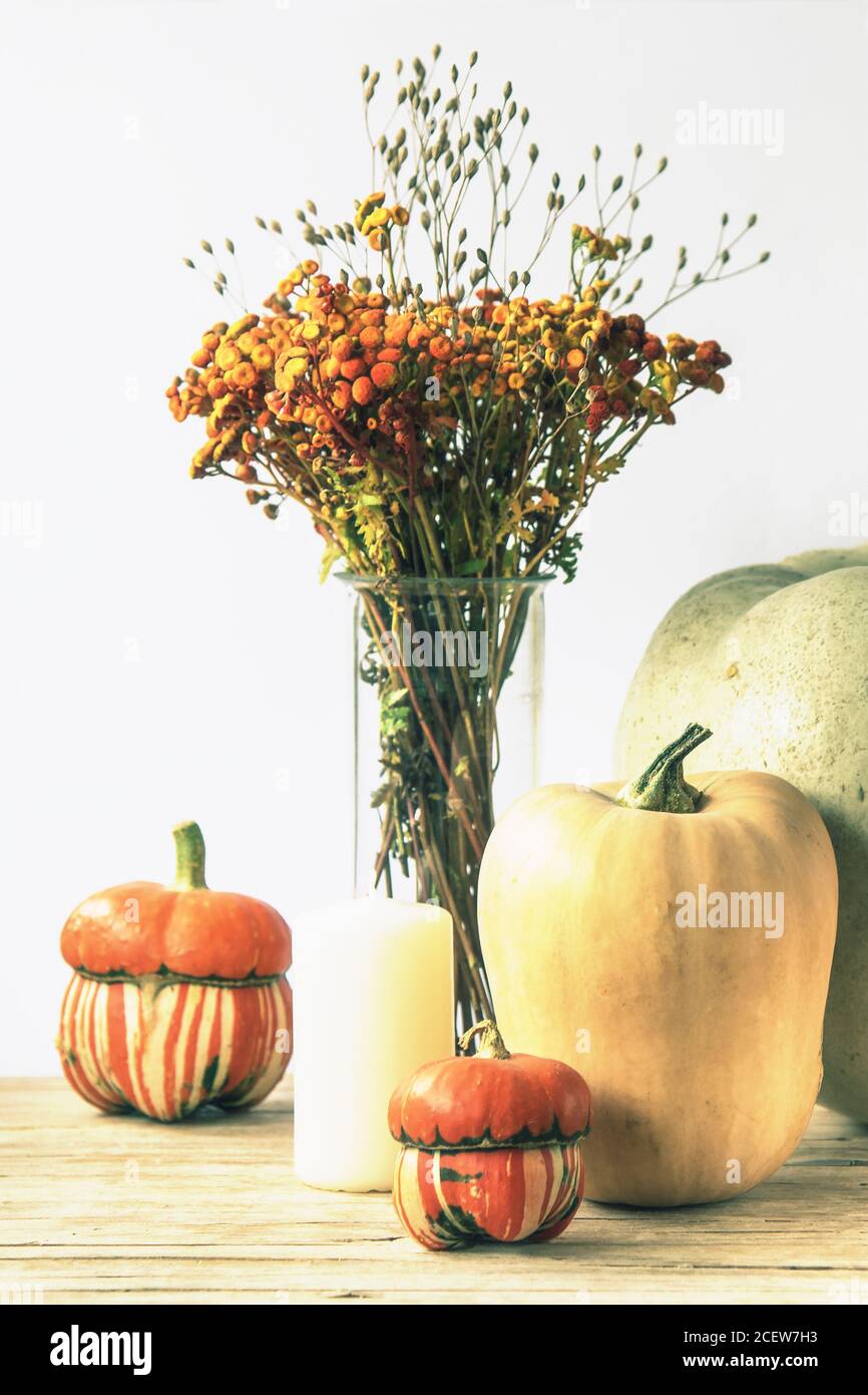 Herbst-Layout mit Kürbissen, Kerze und Orangenblüten in Vase. Weißer Hintergrund, Nahaufnahme. Stockfoto