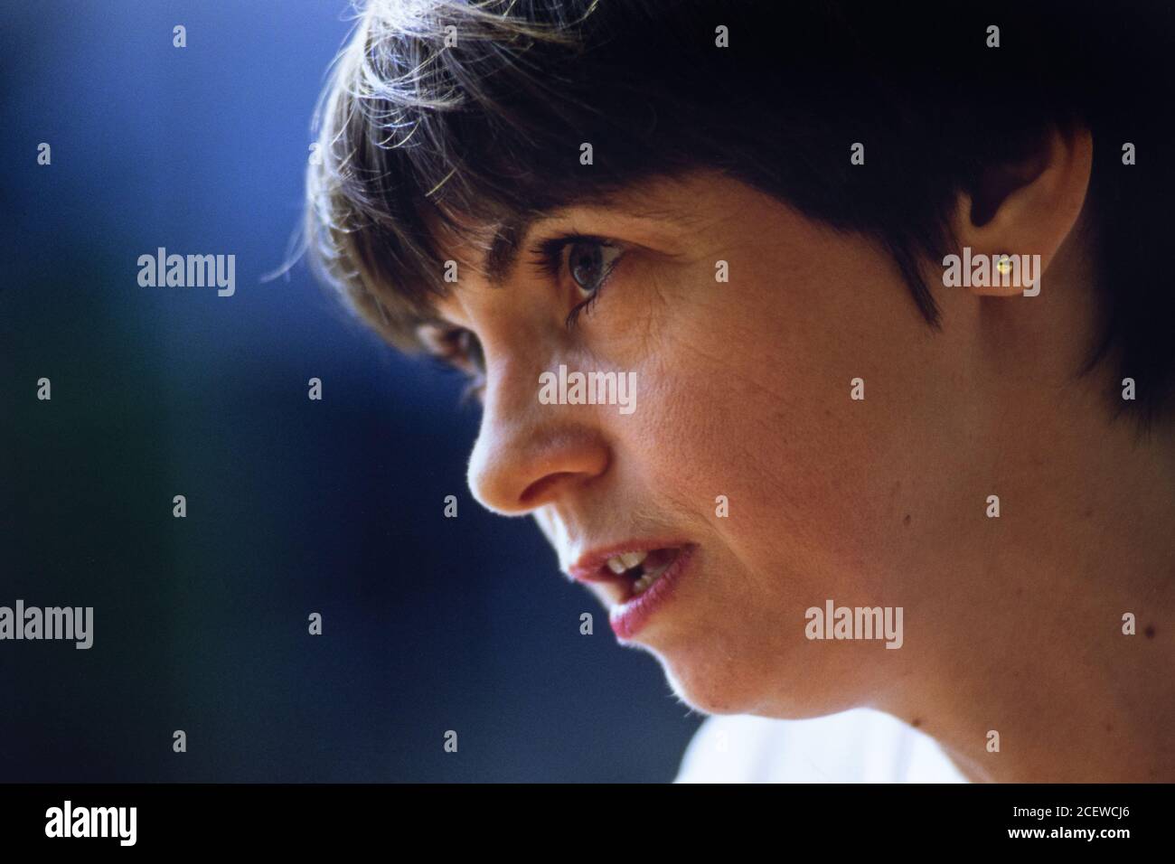 Lesley Brown, Dictionaries Editor bei der Oxford University Press, Walton Street, Oxford. 13. August 1993. Foto: Neil Turner Stockfoto
