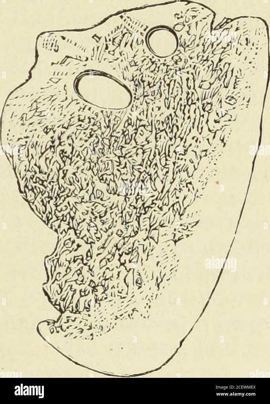 . Die unzivilisierten Menschenrassen in allen Ländern der Welt; sie sind eine umfassende Darstellung ihrer Sitten und Gebräuche sowie ihrer physischen, sozialen, mentalen, moralischen und religiösen Eigenschaften. Von Rev. J. G. Wood... Mit neuen Entwürfen von Angas, Danby, Wolf, Zwecker... 1871. Abschnitt (2.) HOLZ UND KNOCHEN MERAIS. (Siehe Seite 840.) Stockfoto