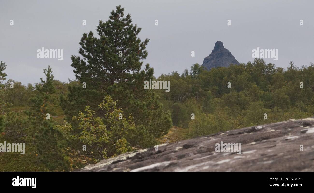 Norwegisches Gebirge (Narvik) Stockfoto