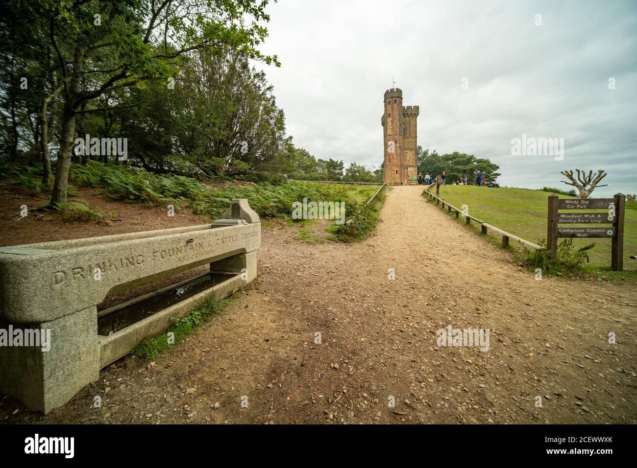 Leith Hill Tower, Surrey, Großbritannien Stockfoto