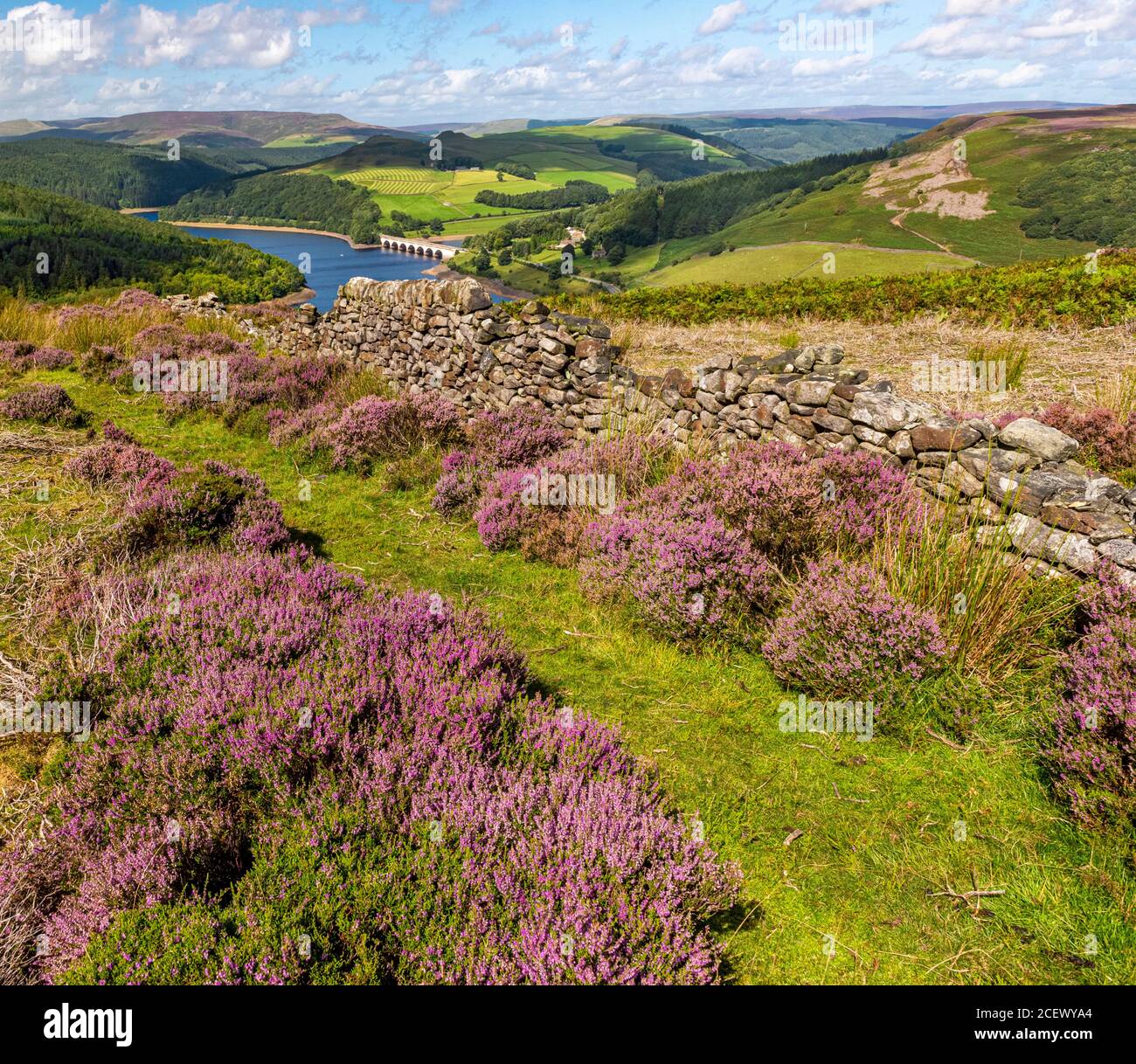 Bamford Moor, Peak District National Park, Derbyshire, England, Großbritannien Stockfoto