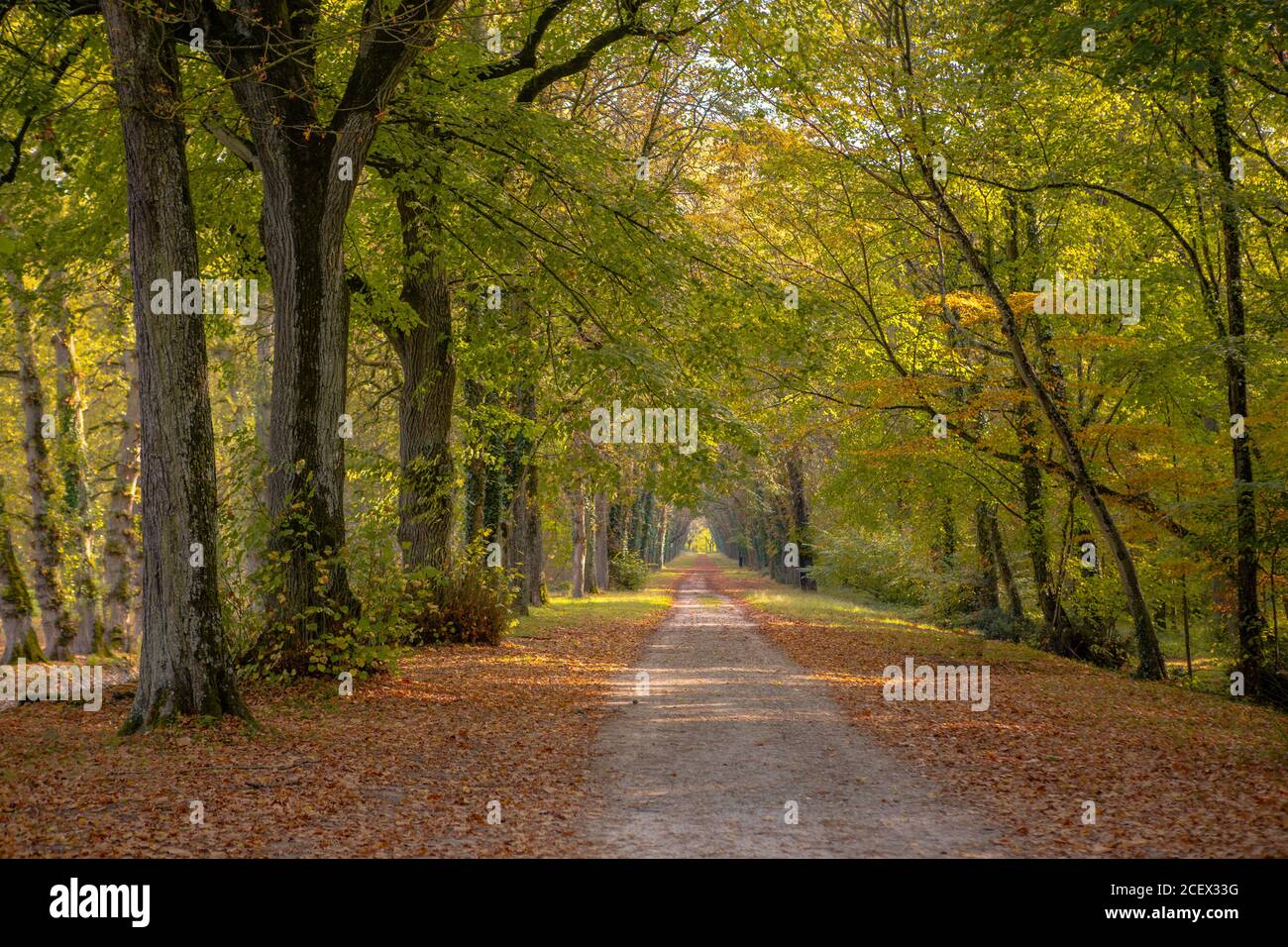 Die Seilbahn in Chamonix, eine der höchsten Seilbahnen der Welt. Stockfoto
