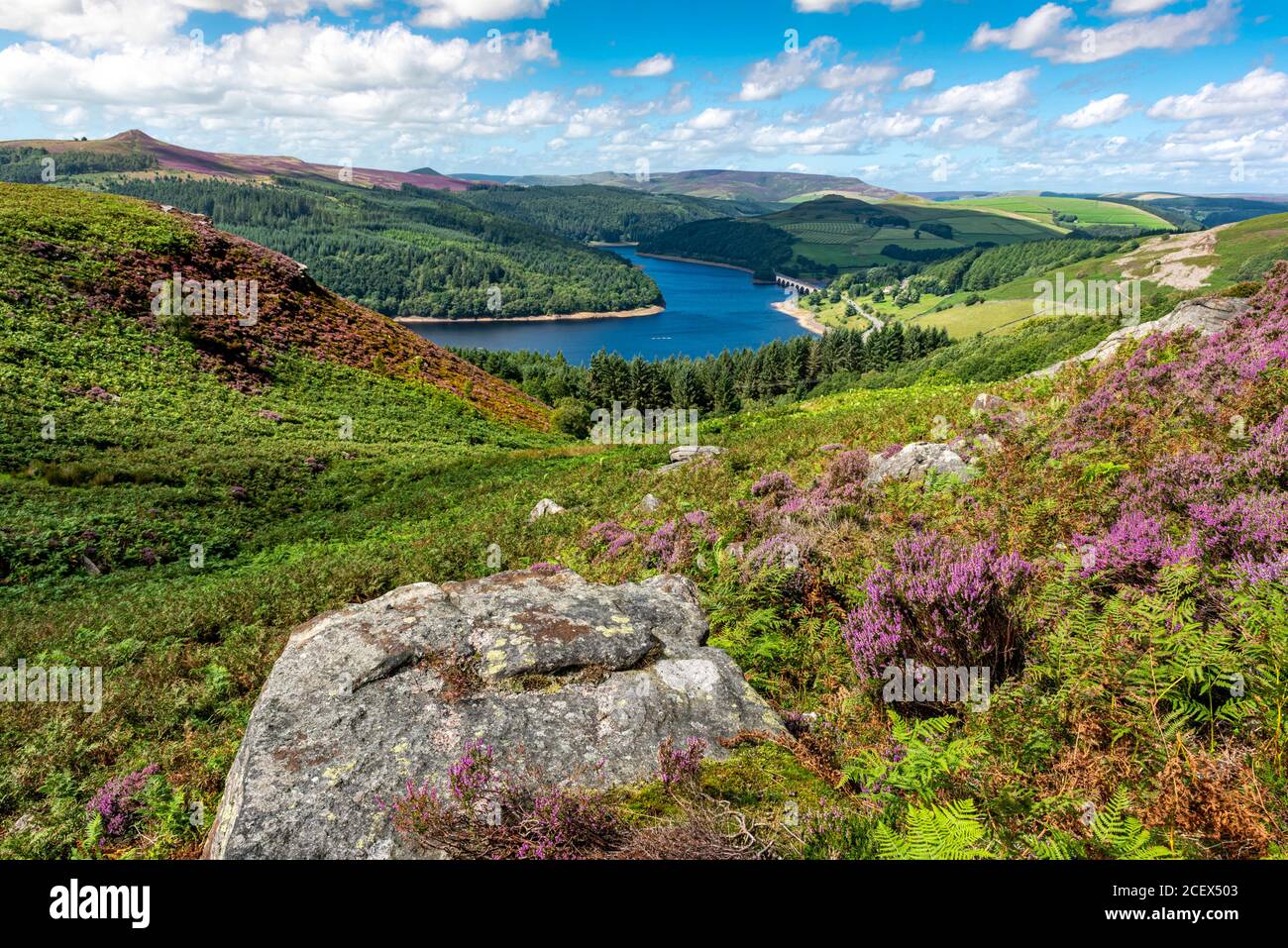 Bamford Moor, Peak District National Park, Derbyshire, England, Großbritannien Stockfoto
