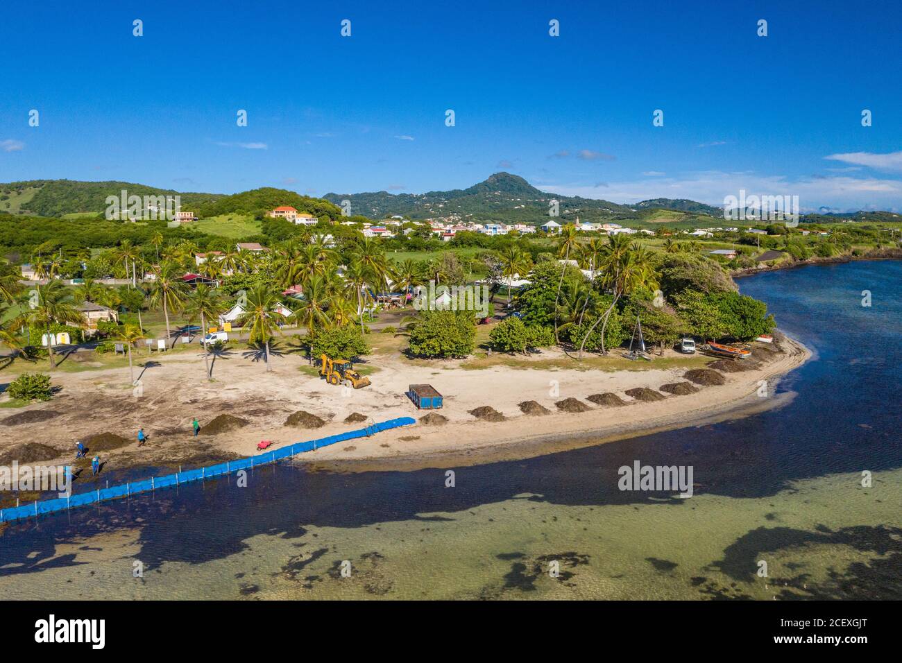 Karibische Strände sind wegen der Sargassum-Algen im Niedergang. Zäune werden im Meerinstalliert Dies ist der Fall hier in der Stadt Vauclin auf Martinique. Stockfoto