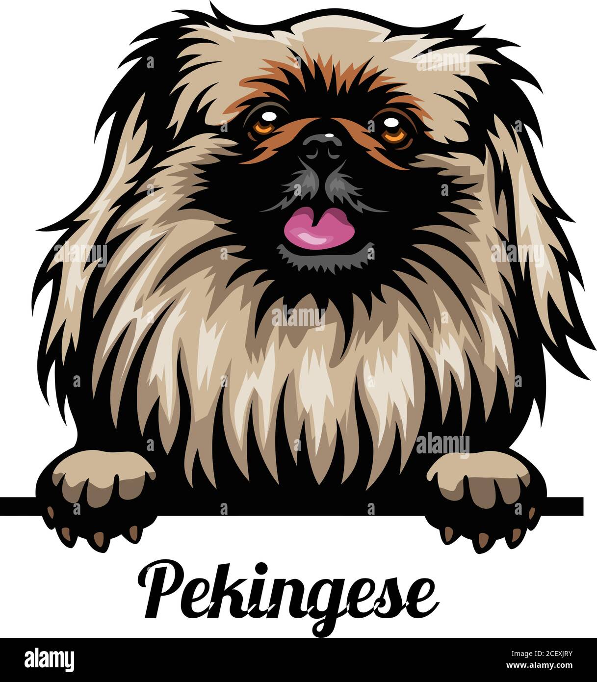 Pekingese - Farbe Kopf Hund - Vektor Stock Illustration isoliert Auf Weiß Stock Vektor