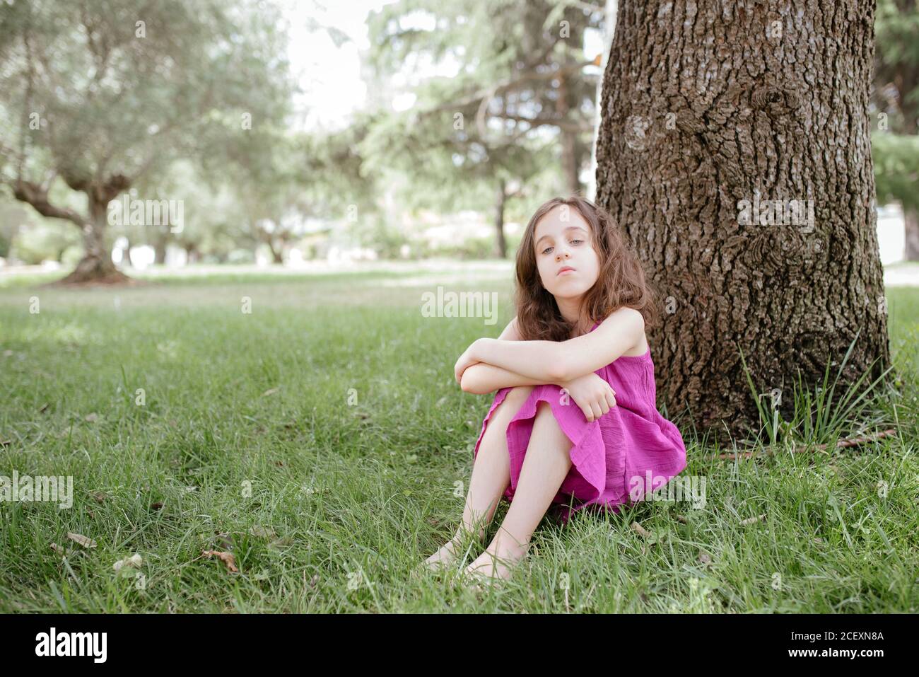 Ganzer Körper von ruhigen kleinen Mädchen in rosa Kleid sitzen Auf grünem Gras neben Baumstamm während der Ruhe im Park Im Sommer Tag Stockfoto