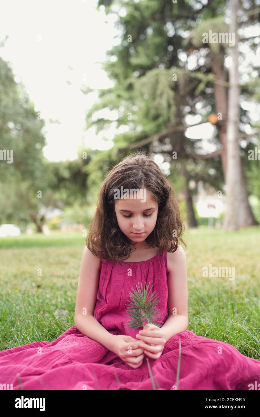 Liebenswert ruhig preteen Mädchen mit lockigem Haar trägt rosa Sommer Kleid  hält grünen Zweig, während er auf grüner Wiese sitzt Sommerpark  Stockfotografie - Alamy