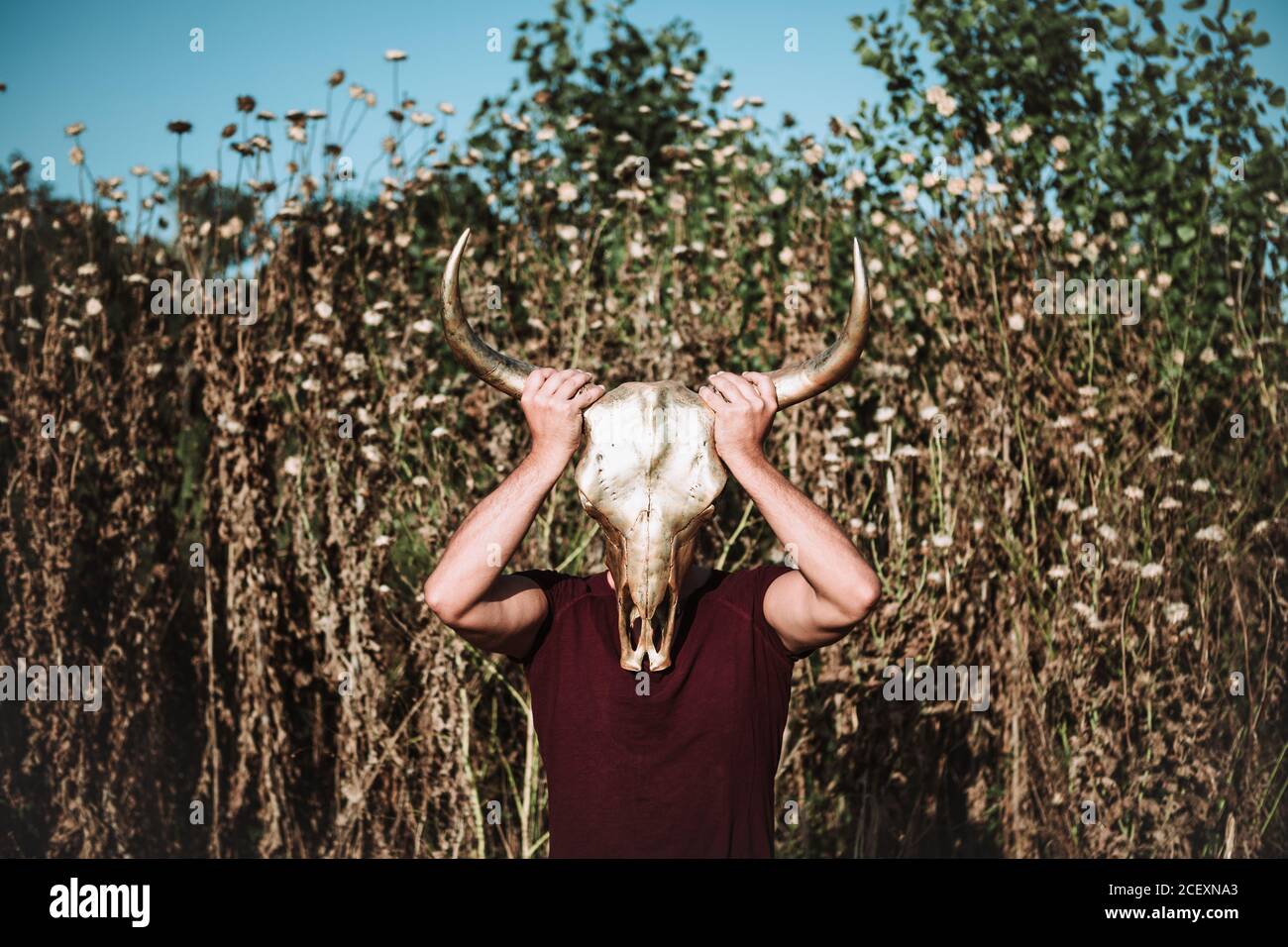 In voller Länge anonymen Mann in Freizeitkleidung Bezug Gesicht Mit Horn Tierschädel während im Feld stehen Stockfoto