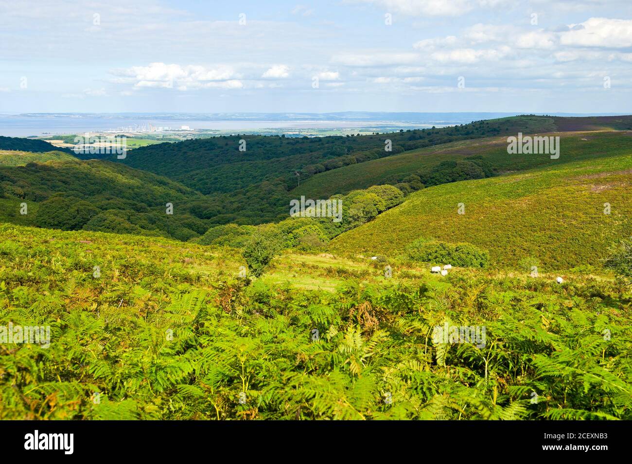 Blick auf das Kraftwerk Bristol Channel und Hinkley Point von den Quantock Hills, Somerset, England Stockfoto