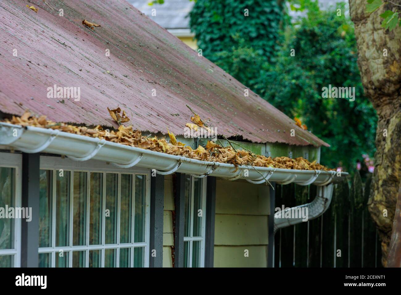 Schmutziges Dach mit Eisenrinne mit Herbstblättern, die gereinigt werden müssen Stockfoto