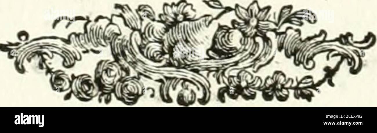 . Componimenti poetici per le felicissime nozze dell'Eccellenze Loro il signor Niccolò Michieli e la signora Elisabetta Gradenigo. TefTer V Attica Dea feriche fpoglie Veggo, e le Grazie ad intrecciar ghirlandeDi olenti fiori in Fra le verdi foglie:. E fpira, or con Virtudi ornate e blande Che Niccolò ad Elisa il cinto fcioglie.UN nonfocchè di inufìtato e grande. DEL •^ XI PI- Stockfoto