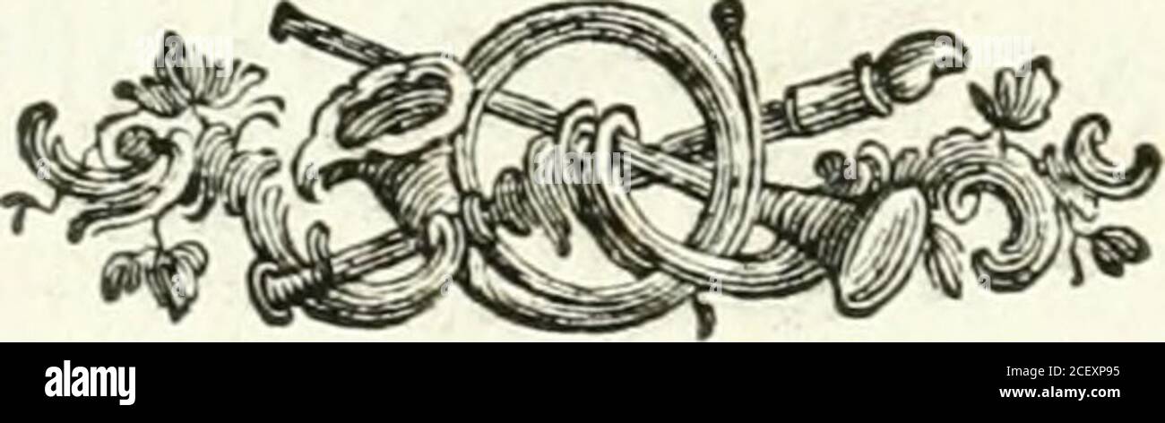 . Componimenti poetici per le felicissime nozze dell'Eccellenze Loro il signor Niccolò Michieli e la signora Elisabetta Gradenigo. Canta il Delfico Nume in tuono eletto Air arpeggiar del dotto Aonio Coro Jin mille guife acconcia i bei crin d oroCiprigna, e fpira fovrauman diletto.. TefTer V Attica Dea feriche fpoglie Veggo, e le Grazie ad intrecciar ghirlandeDi olenti fiori in Fra le verdi foglie: Stockfoto