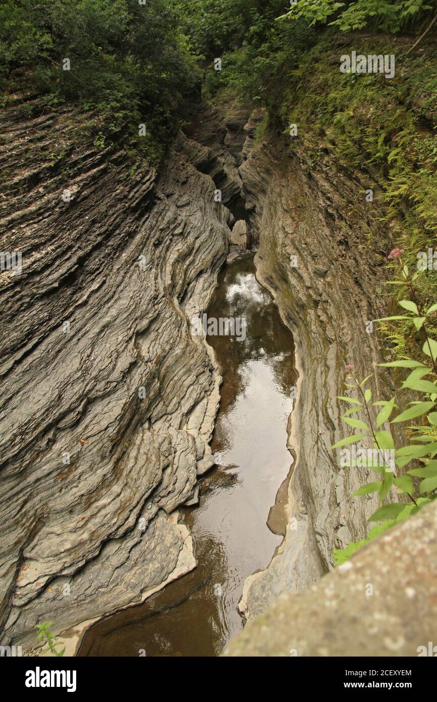 Spektakuläre Erosion im Watkins Glen State Park, NY, USA Stockfoto