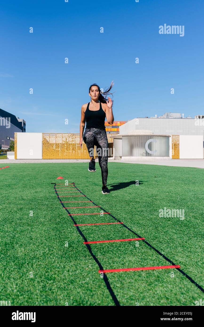 Low-Angle-Ganzkörper der energischen jungen weiblichen Athletinnen Durchführung Laufübungen auf Rasen mit Speed-Leiter während des Trainings Im Stadion Stockfoto