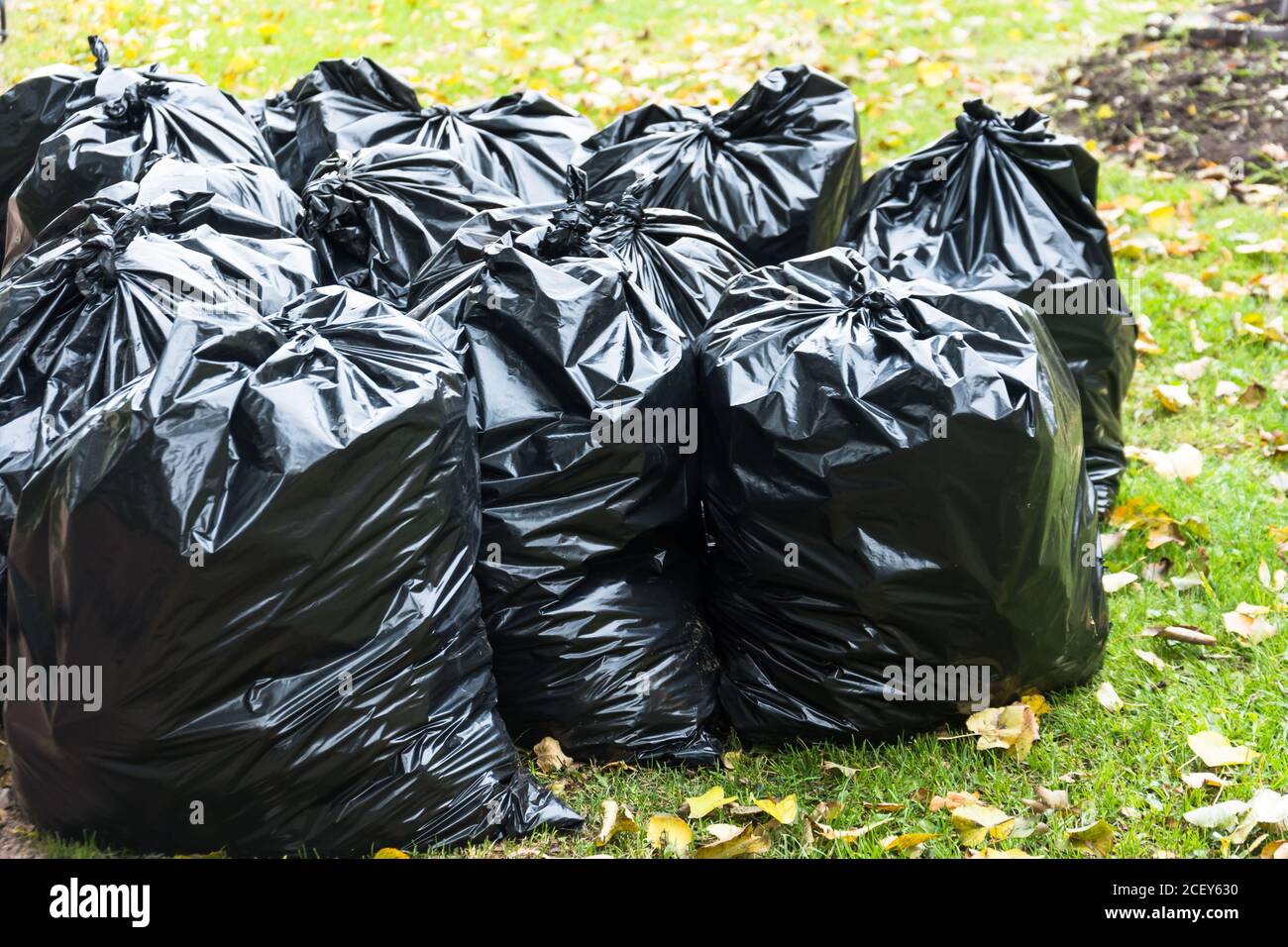 Schwarze Müllsäcke im Park im Frühherbst Stockfotografie - Alamy