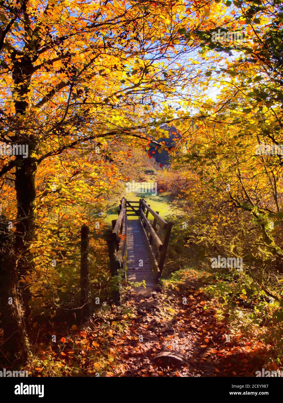 Die kleine Brücke Stockfoto