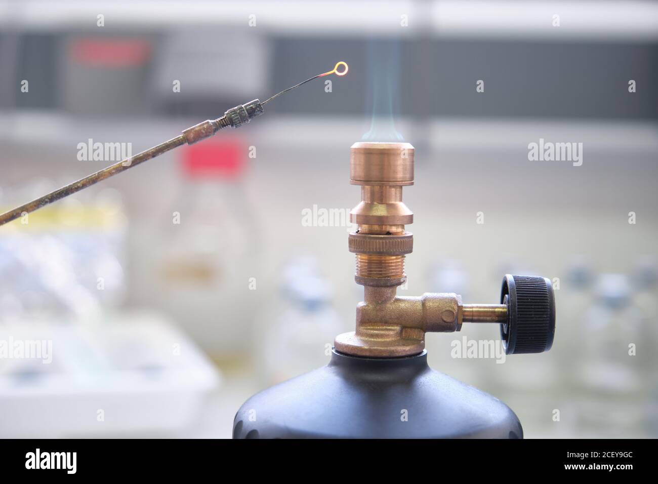 Nahaufnahme der Impfschleife, die in der Flamme des gasbrenners bunsen in einem Labor sterilisiert wird. Laborarbeitskonzept. Stockfoto