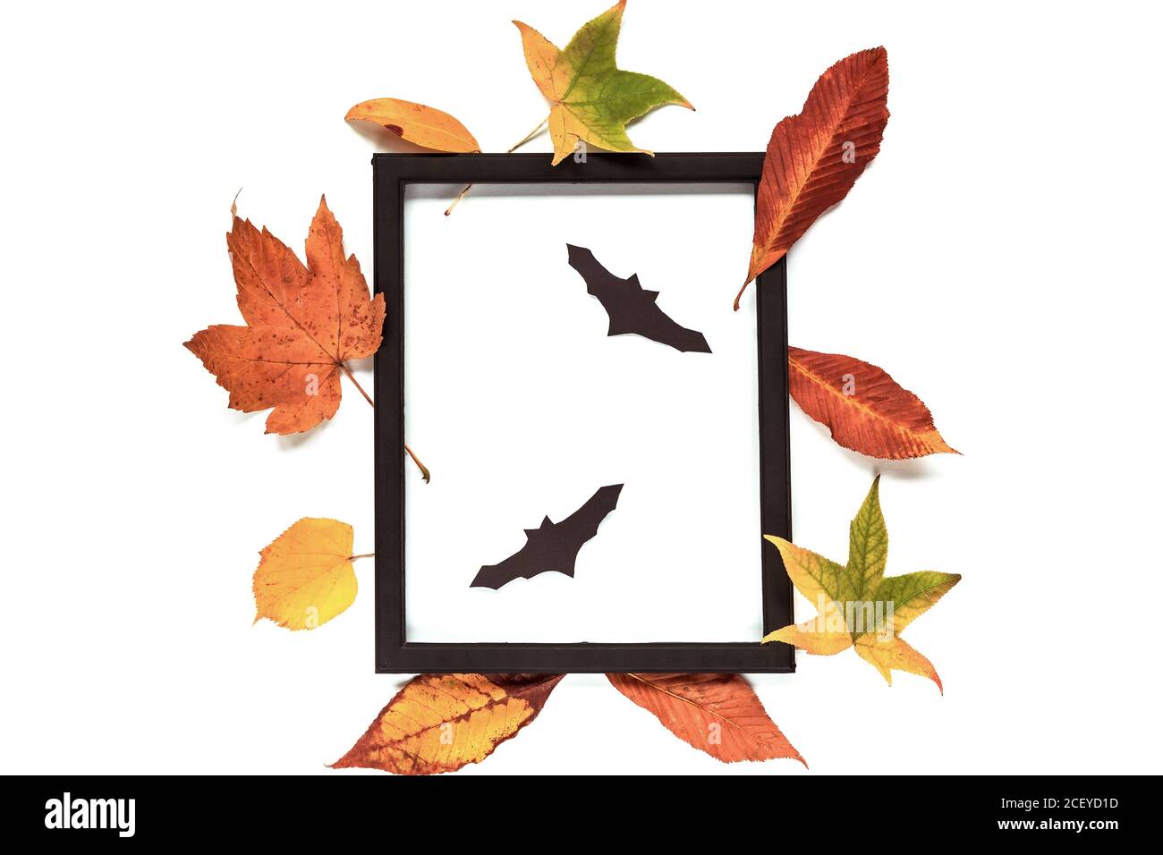 Schwarzer Rahmen und Herbstblätter, handgemachte schwarze Fledermäuse auf weißem Hintergrund. Halloween-Konzept. Draufsicht, flach liegend. Stockfoto