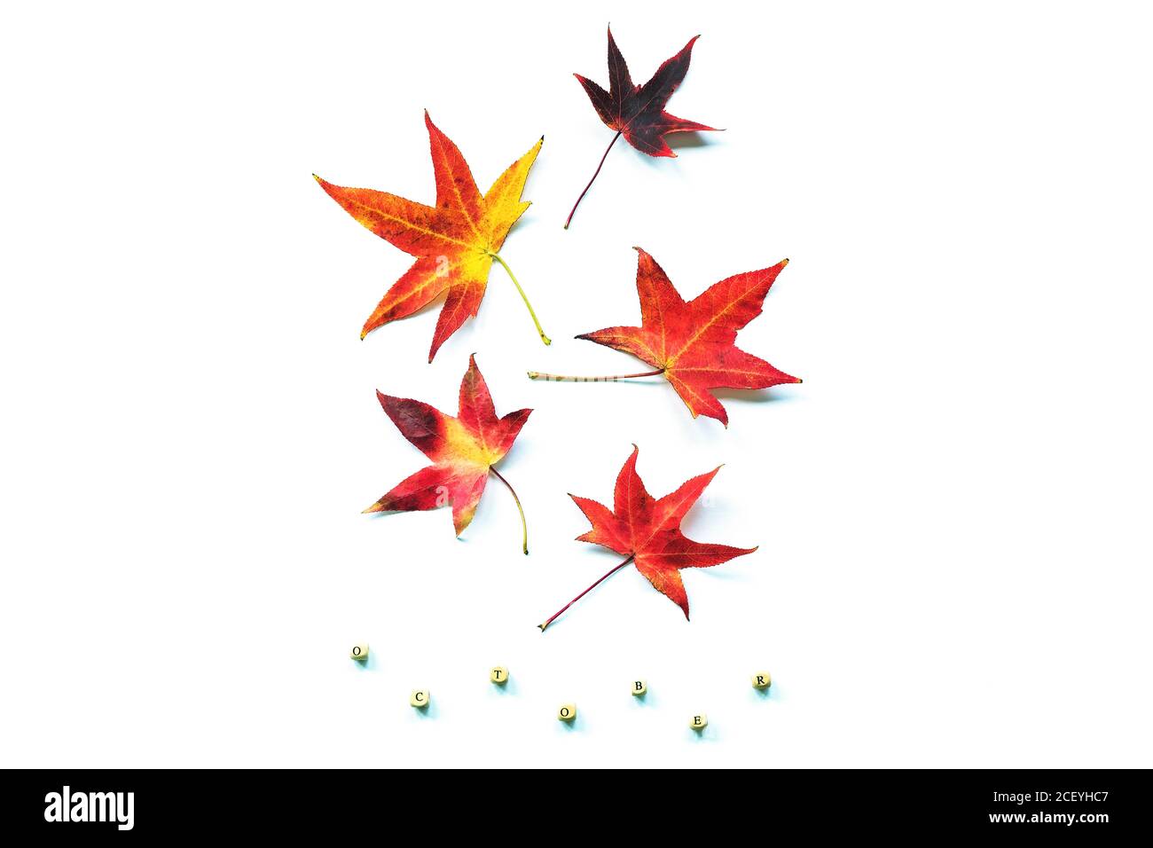 Rote und gelbe Herbstblätter auf weißem Hintergrund. Wort Oktober. Flat Lay, Herbstferien Konzept. Stockfoto