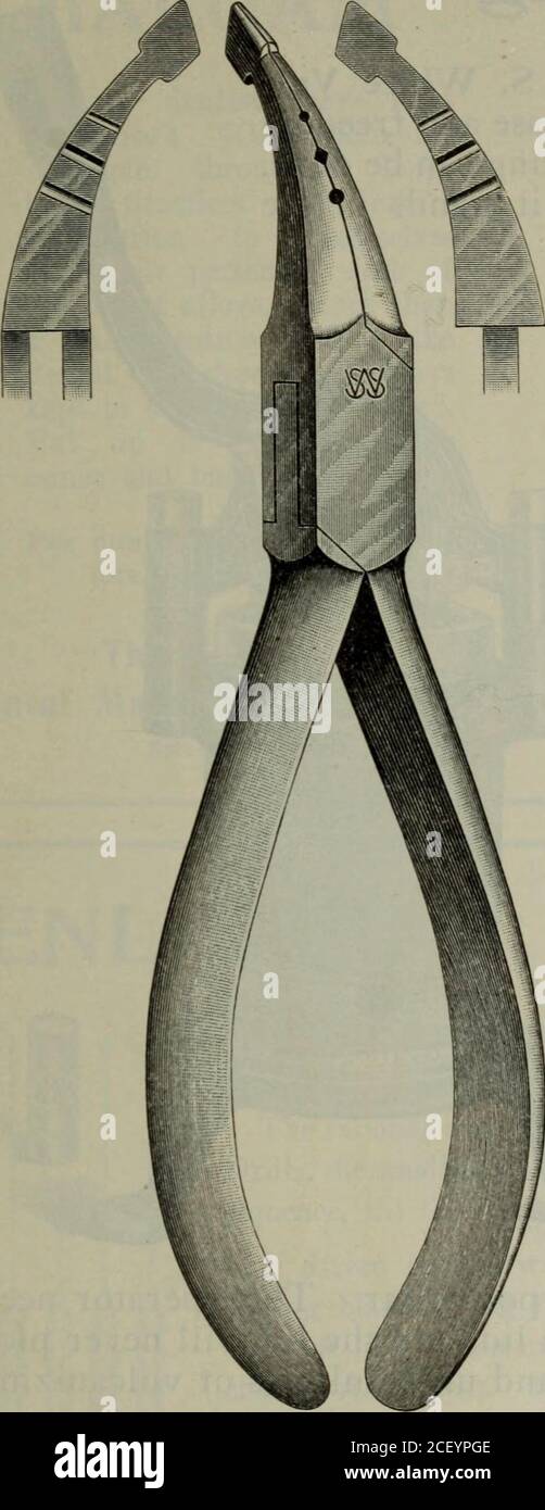 . Der zahnärztliche Kosmos. es. Theshort, starke Schnäbel sind zart geformt, eine kegelförmige Form der otherpyramidal, mit parallelen Flächen. Ein scharfer Winkel kann im Draht hergestellt werden, indem man ihn über den pyra-mittleren Schnabel, eine glatte abgerundete Krümmung über dem Kegel, beugt. Je 2.00 € No. 118 die besondere Verwendung dieser Zange bei der Gestaltung und Anpassung der kleinen Kurven des oberen lateralen und unteren Schneidezahn, und Bicuspidcollars oder Cap-Kronen, obwohl Halsbänder jeder Größe können mit ihnen formt werden. Der kürzere, abgerundete Schnabel kann auch für Konturkappen oder Kragen verwendet werden. Jede 1.80 Dollar Nr. 121 und 122 Nr. 121 und 122 sind nützlich für ein tho Stockfoto