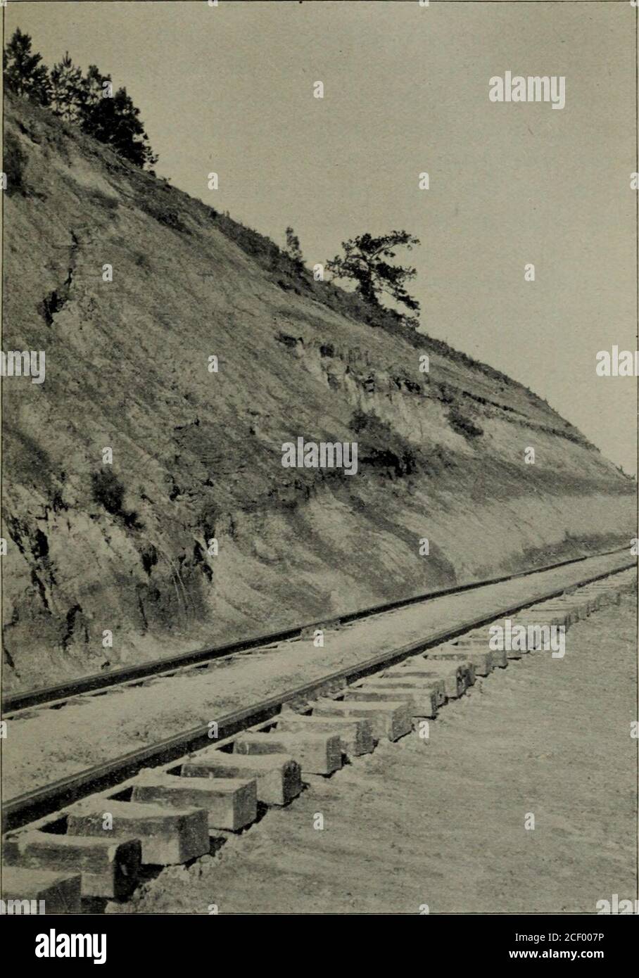 . Geologie und Landwirtschaft. sa, Pseuidolive vetiista, 2L.RA Ostreafalci-for^yiis gehörten zu den gesammelten Exemplaren. Vasherie Zweig. – auf diesem Zweig des White Oak Creek, ca. 10 Meilen nordwestlich von Winnfield, Lerch und Vaughan Rekord eine Lower Claiborne Exposition mit einer Schicht von kalkhaltigen Mergel 20Fuß dick.* (Grant Parish) Georgetown. – Wir konnten keine Spuren von Tertiarydepots in der Nähe dieses Ortes zu finden. Die Mühle, das Geschäft und die Sta-tion sind von allen Seiten von Ebenen Schwemmland umgeben. Vaughancites Lower Claiborne Fossilien von diesem Ort.f (Caldwell Parish) Cohunbia. - die Ligniten Stockfoto